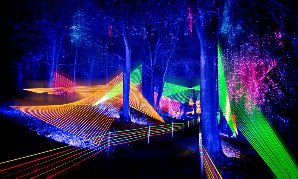 A colourful UV light display in the Royal Botanic Gardens at night.