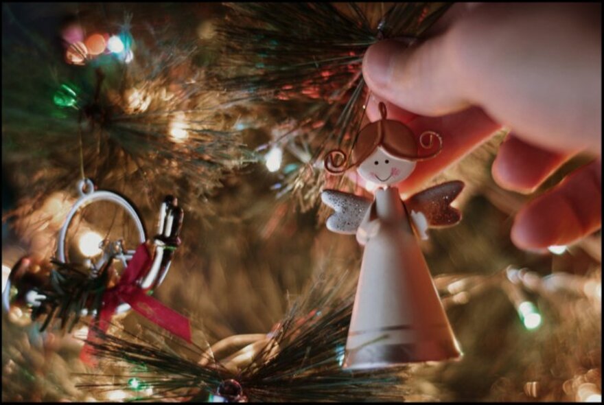 A child's hand hanging an angel decoration onto a Christmas tree.