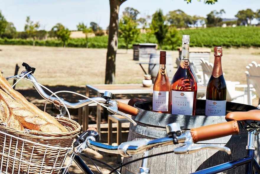 Bicycle with baguette in pannier and bottles of wine on barrels, in a winery setting.