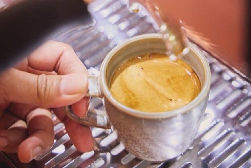 A freshly poured small espresso cup on the metal grate of a coffee machine.