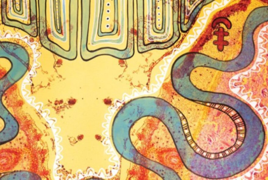 An Indigenous artwork in mostly yellow and orange tones, featuring a blue serpent.