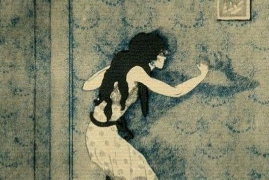 An illustration of a woman in a floral nightgown with thick, long, black hair interacting with her shadow on the patterned wall.