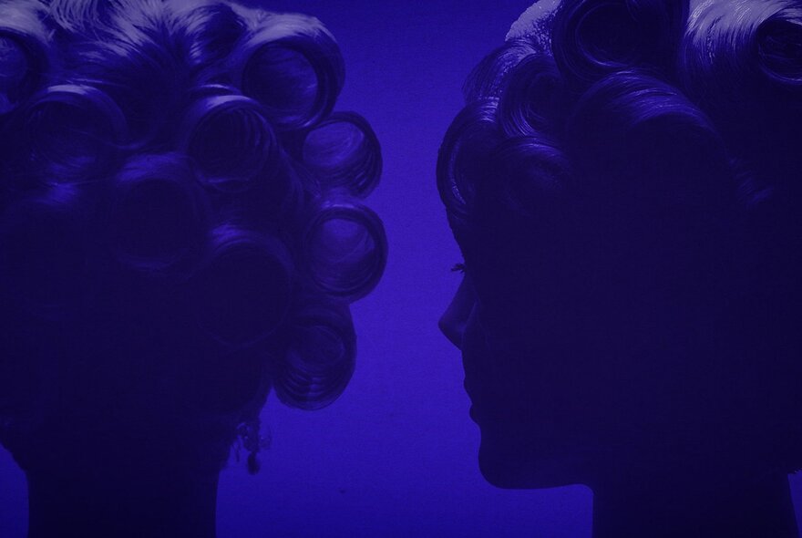 A shadowy silhouette of two woman with their hair in rollers, one whispering into the ear of the other, set against a purple-blue background.