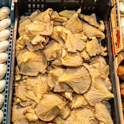 Seasonal Bounty: Mushrooms