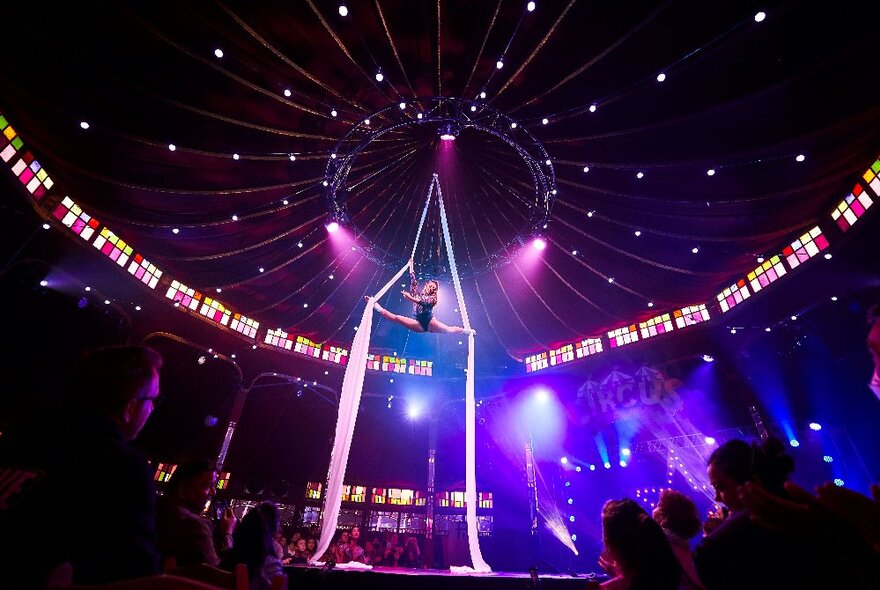 An aerialist performing mid air using ropes, on a circus stage, under a big top.