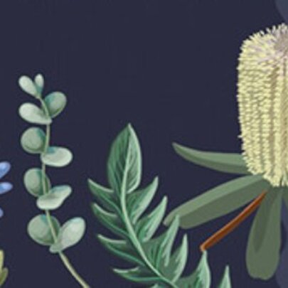 The Sceptical Botanist: Separating Fact from Fiction