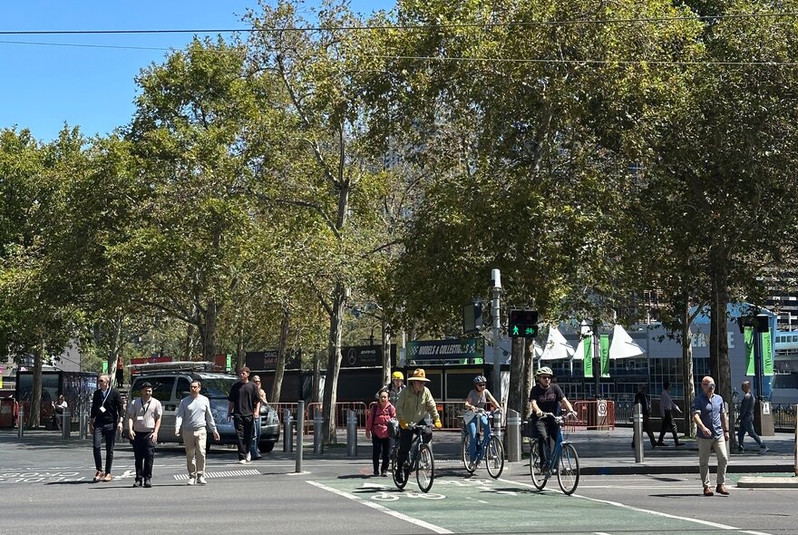 Pedestrians and cycling activity on a intersection in a Melbourne city street, green leafy trees dominating the space.