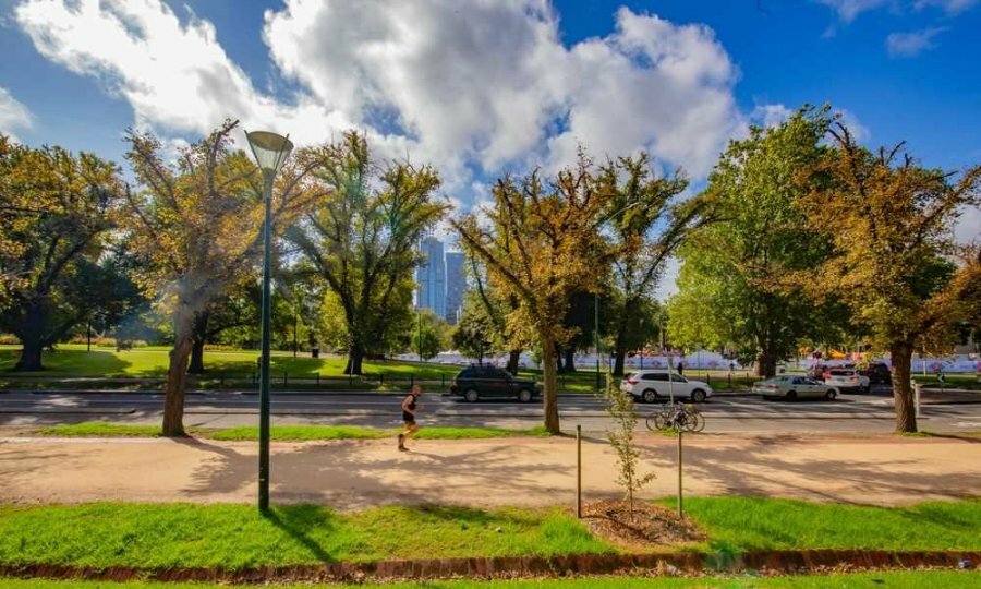 A man running through a park on a sunny day