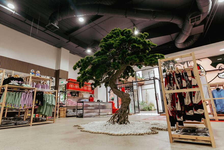 Interior of SoyToy Club store with a tree in the centre, with display racks of clothes spaced around the store.