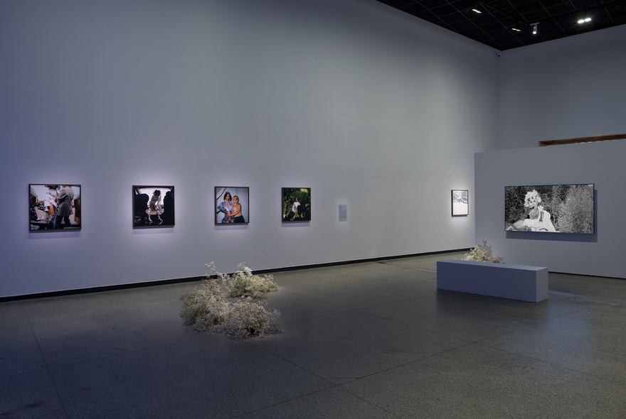 A sparse gallery space with four square artworks displayed on the wall and tufts of leaf matter on the floor.