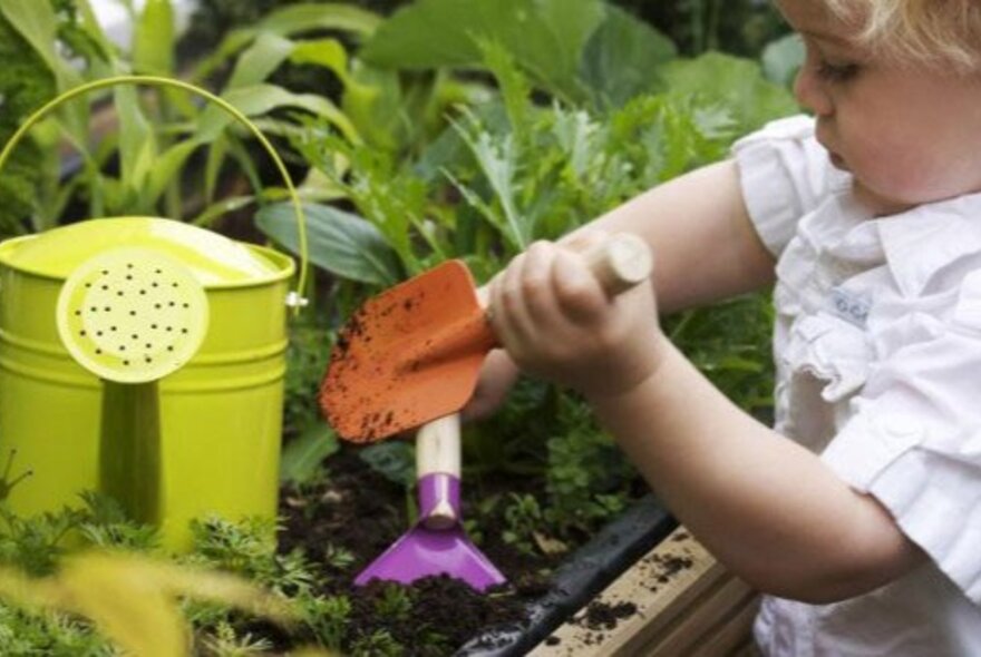 A child holding an orange trowel, digging into a raised garden bed with a purple spade and green watering can.