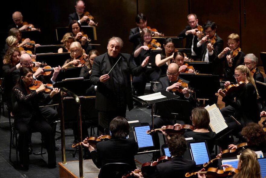Black clad members of a symphony orchestra performing live on stage, in front of a conductor.
