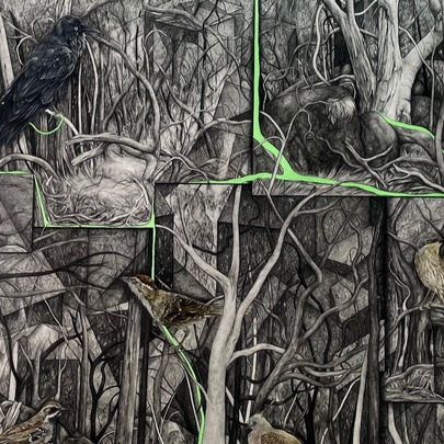 A dense, intricate graphite and watercolour drawing of a tangled ironbark forest intertwined with geometric, stone-like urban structures.