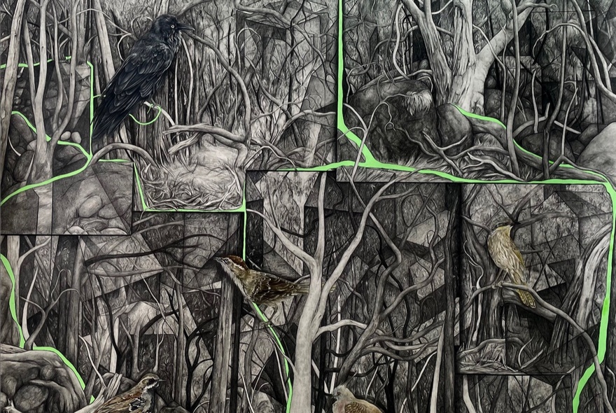 A dense, intricate graphite and watercolour drawing of a tangled ironbark forest intertwined with geometric, stone-like urban structures.