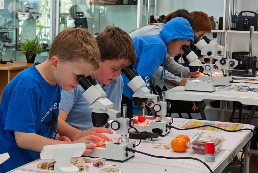 Children looking at specimens with microscopes.