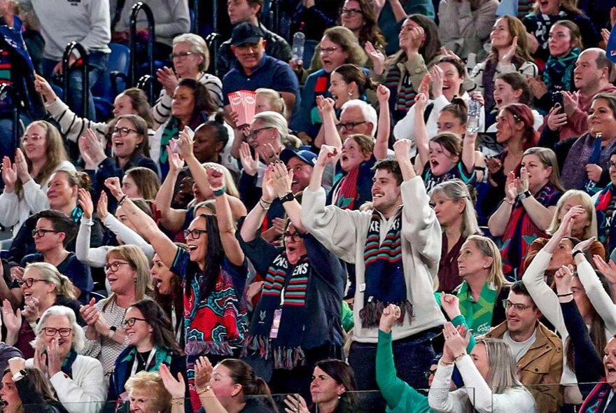 Fans in the stadium seats, cheering during a netball match.