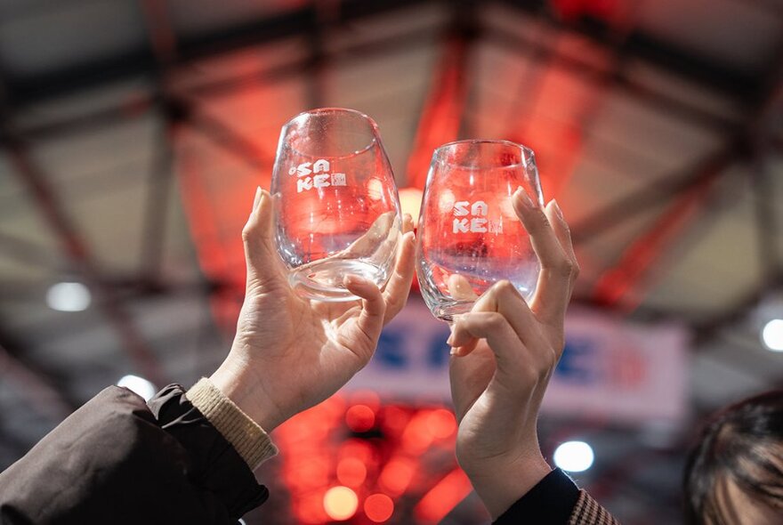 Two hands holding up clear drinking glasses.
