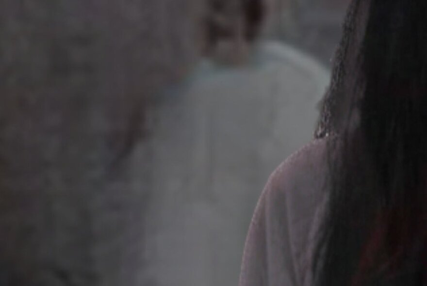 Ghostly shadows and a person with dark hair viewed from behind.