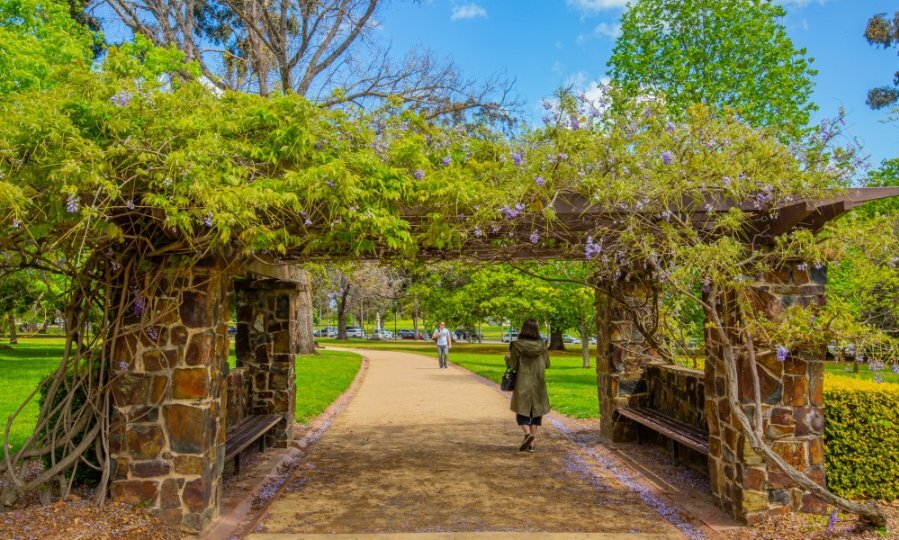 A woman walking through an arbour in a park. 