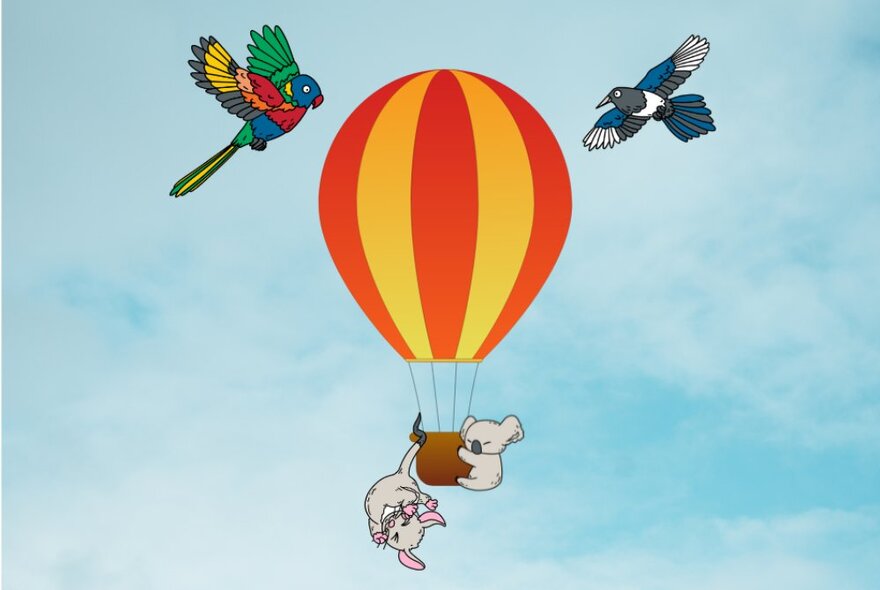 An children's style illustration of a striped hot air balloon with a koala clinging to the basket and parrots flying above.