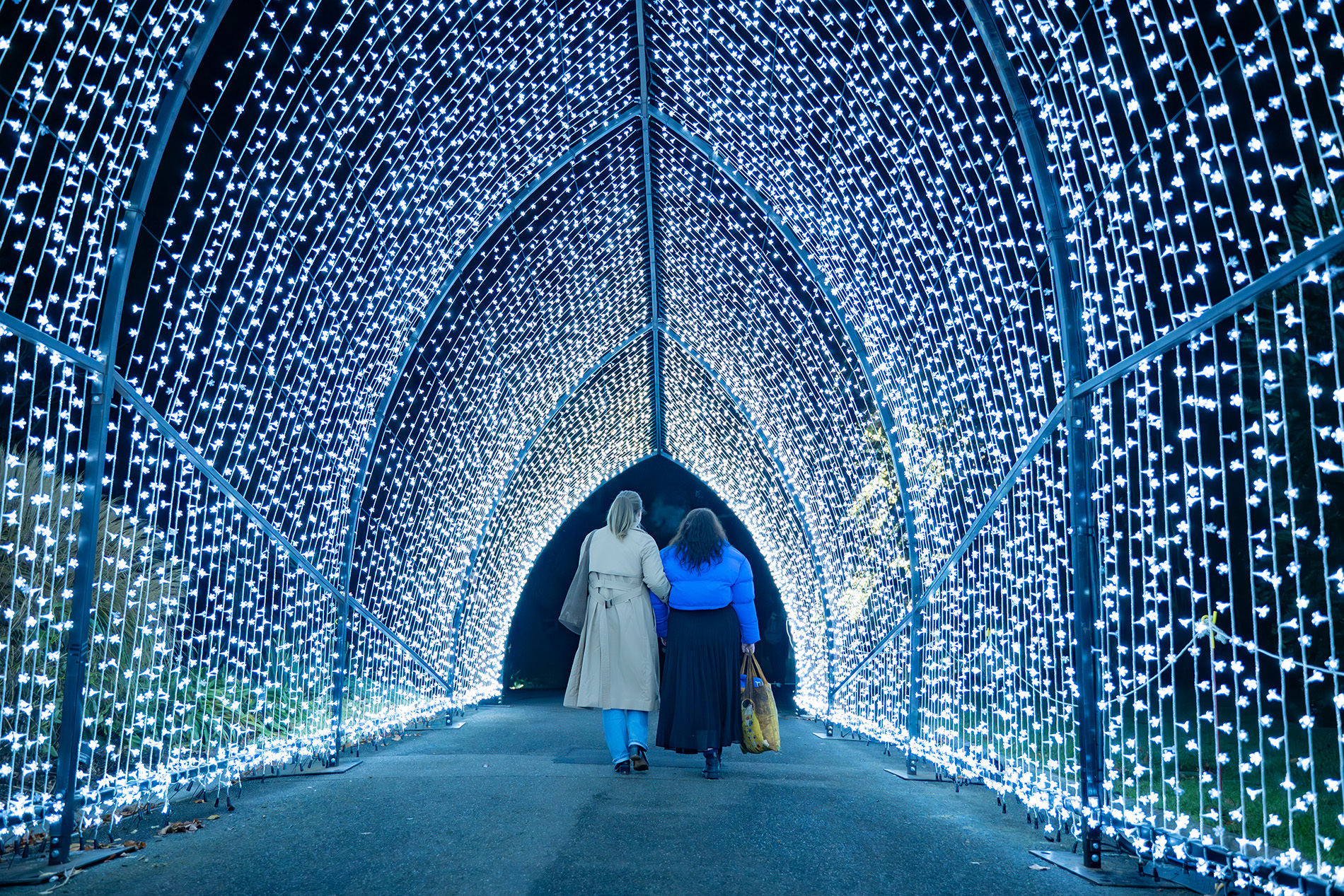Two friends walking through a tunnel of fairy lights at night.