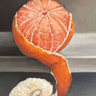 A half-peels mandarin, the peel in one piece coiiing below. 