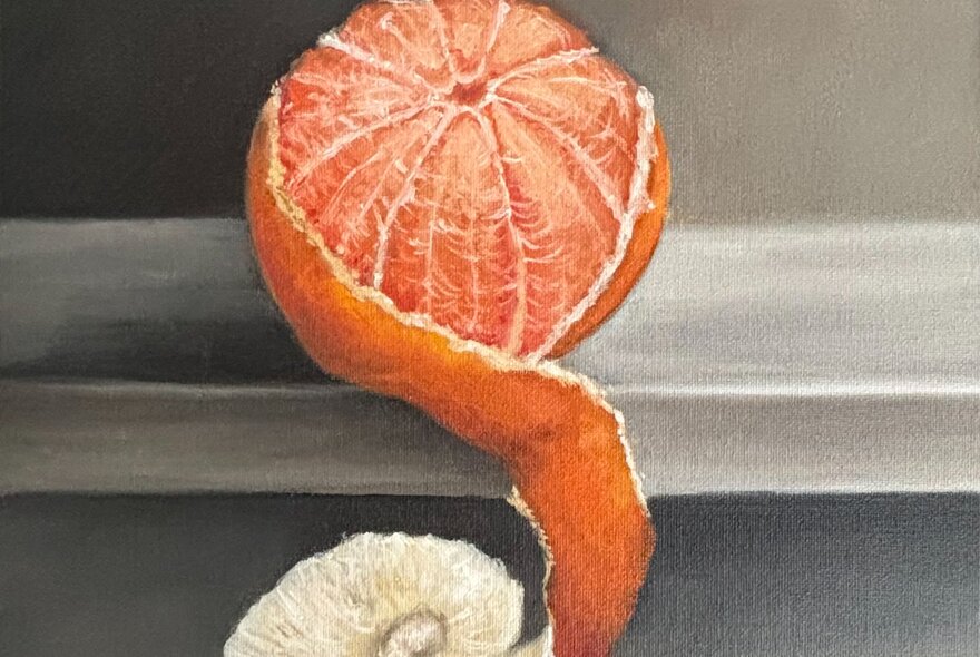 A half-peels mandarin, the peel in one piece coiiing below. 