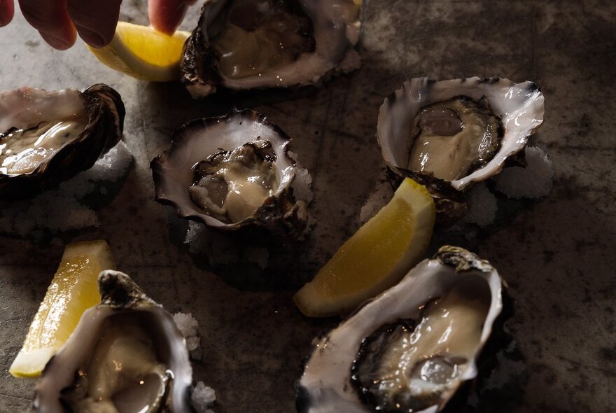 Oysters with lemon wedges.