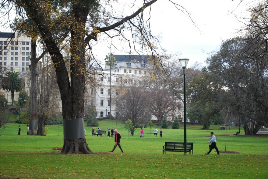 People walking past elm and palm trees in Treasury Gardens