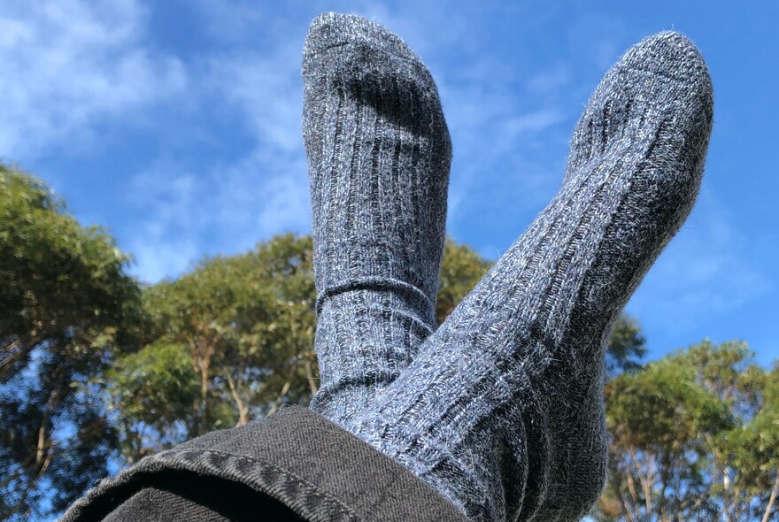 Trouser cuffs and denim-coloured socks raised with treetop and sky in background.