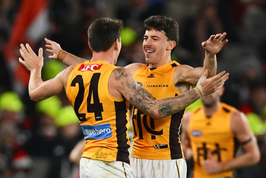 Hawthorn AFL football players on the field during a match.
