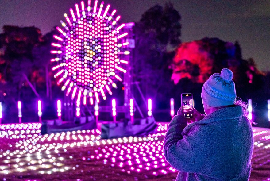 A woman taking a photo of a pink light installation at night, with a large wheel of lights and more covering the ground.