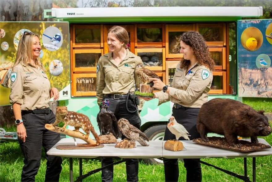 Three park rangers standing in front of a large fold-out display and behind a table with specimens of four Australian animals on it.