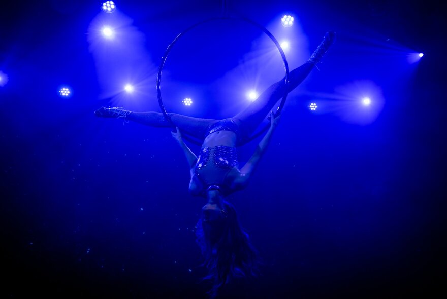 A circus performer hanging upside down from a large ring suspended from the ceiling, blue lights shining on her.