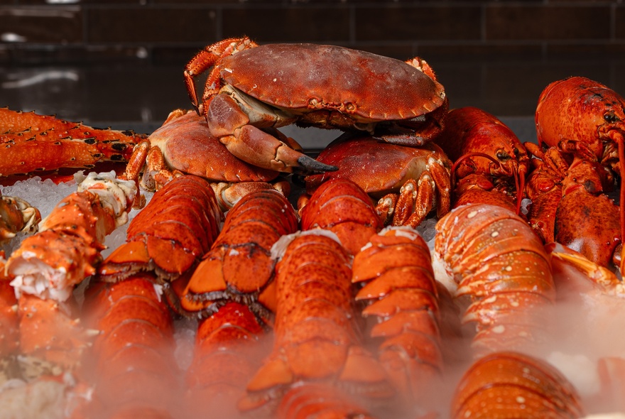 Crabs and lobsters ready to be prepared, resting on ice.