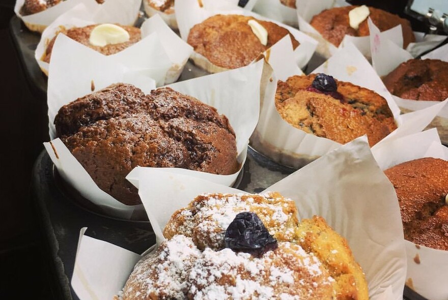 Muffins with powdered sugar and blueberries.