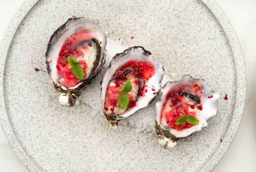 Three oysters in the shell on a plate with a raspberry mignonette dressing. 