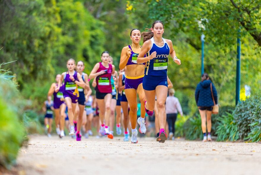 A group of professional female runners running through Melbourne's Botanic Gardens on the Tan track.