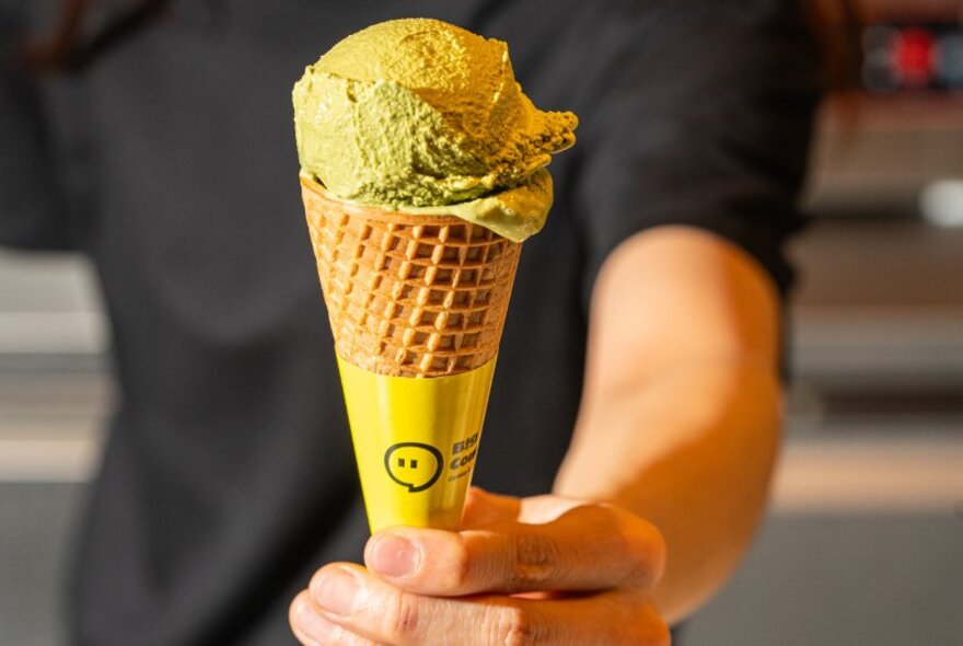 A hand holding forth a waffle cone of pistachio gelato. 