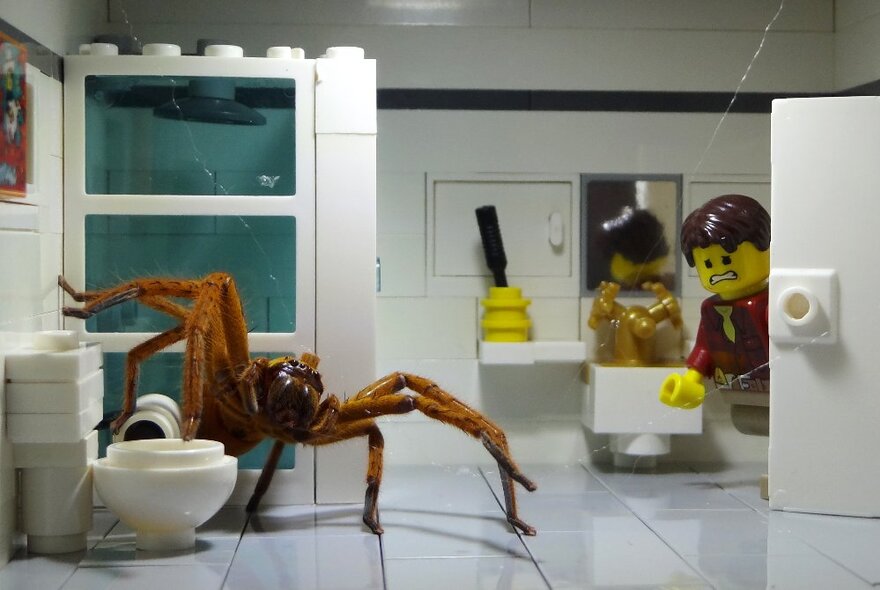 A Lego diarama of a bathroom, with a large tarantular climbing over the toilet.