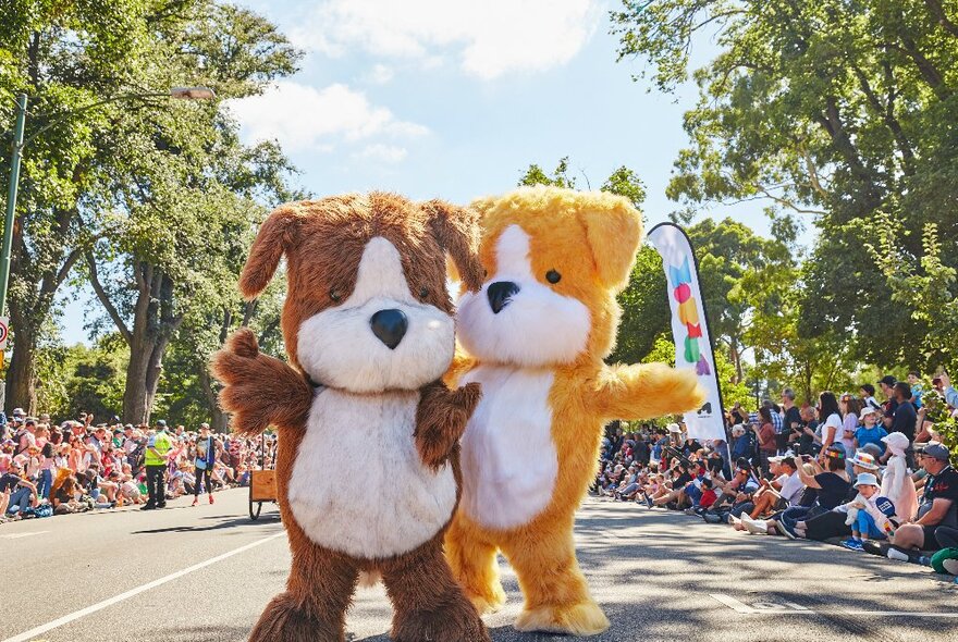 Two people dressed in soft toy bear costumes parading down a road as part of the Moomba Parade with people watching on either side of the road.