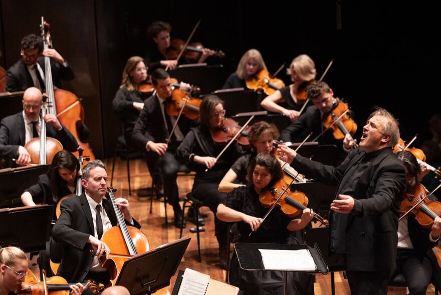 Classical musicians seated playing stringed instruments with a conductor.