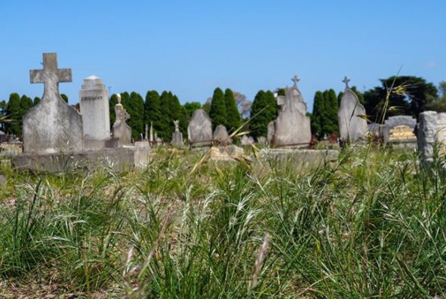 A landscape view of a cemetery, with headstones and grass. 