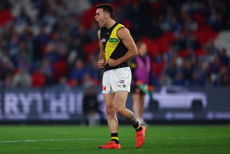 A Richmond AFL football player on the field during a match, a blurred crowd of stadium fans in the background.