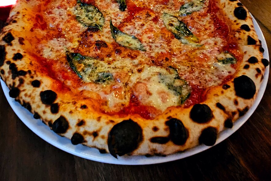 A wood-fired margharita pizza with a sourdough base with crispy, blackened edges.