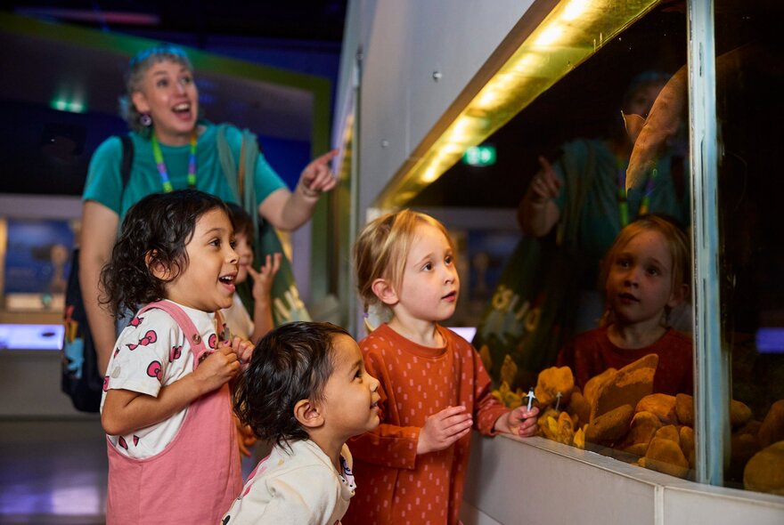 A group of young children and an adult looking excitedly into an indoor museum exhibit at Melbourne Museum.