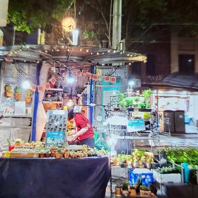 A small kiosk selling plants and other small gift items, in a Melbourne city street at night.