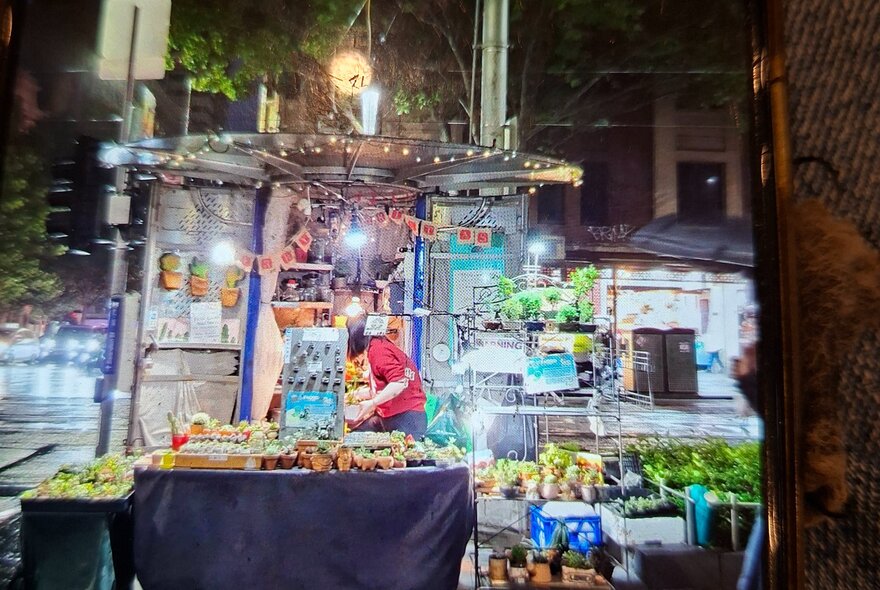 A small kiosk selling plants and other small gift items, in a Melbourne city street at night.