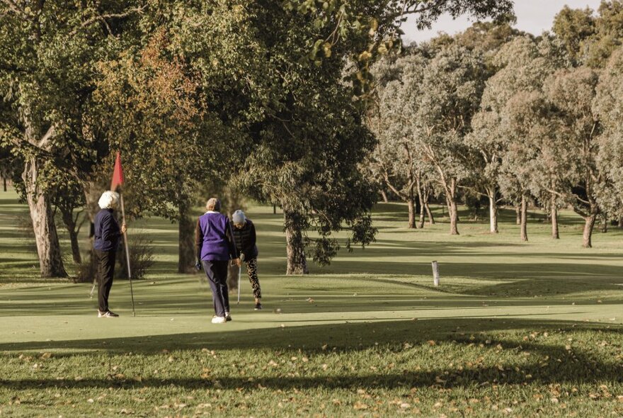 People playing golf on a green planted with gum trees.