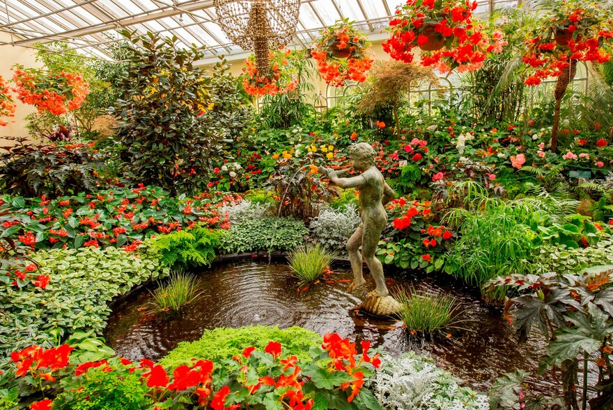 Floral display inside the Conservatory in Fitzroy Gardens.